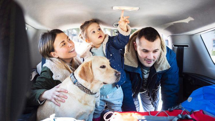 Tips for Traveling with an Infant This Holiday Season - Paperclip