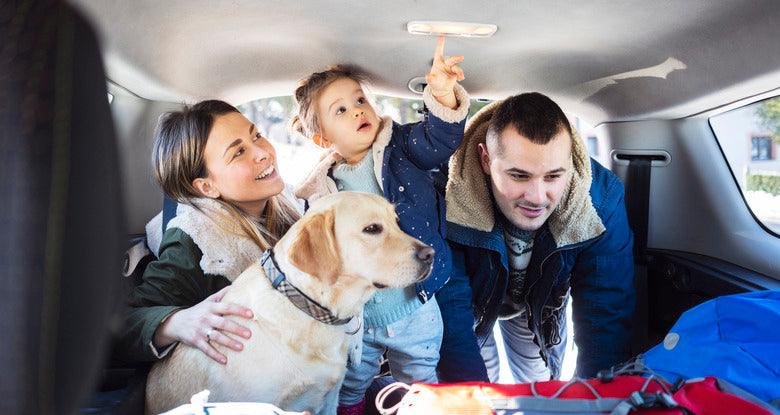 Tips for Traveling with an Infant This Holiday Season - Paperclip