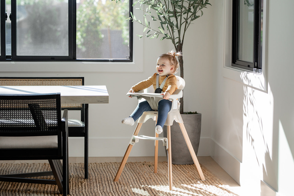 High Chair
