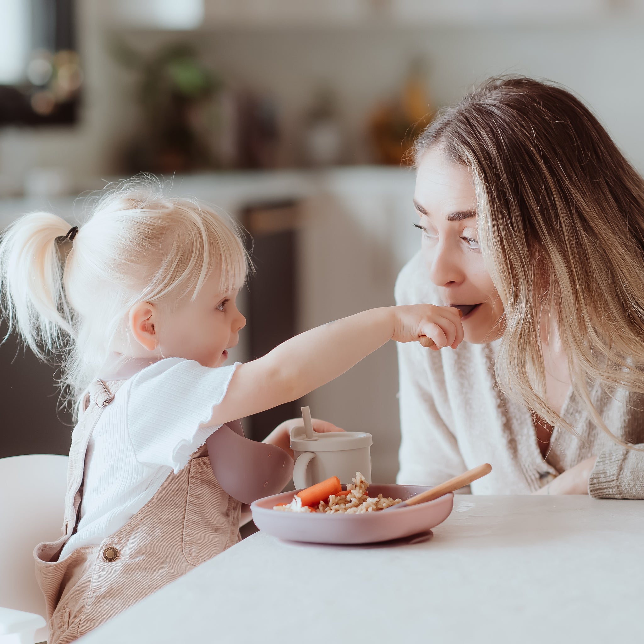 Color Changing Suction Plate - Paperclip