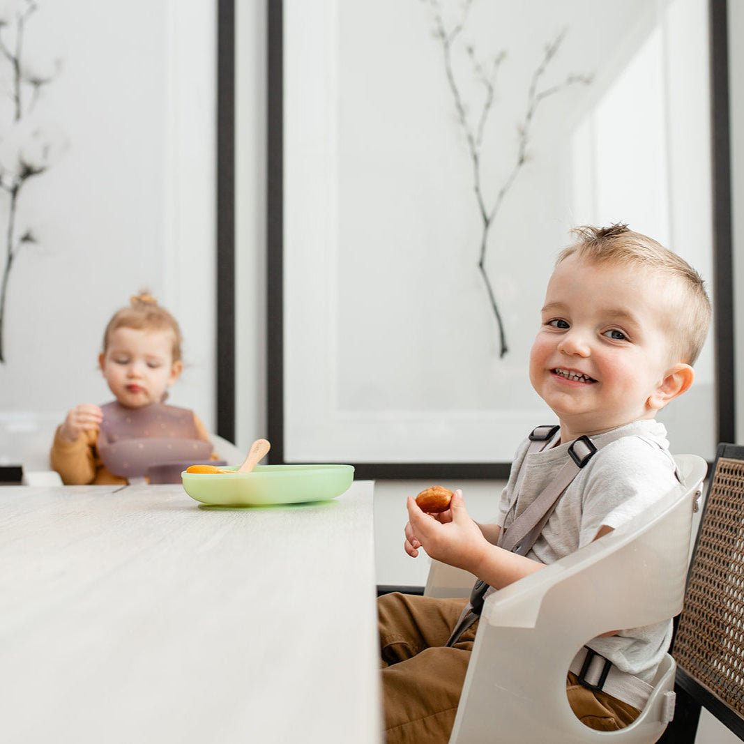 Color Changing Suction Plate - Paperclip