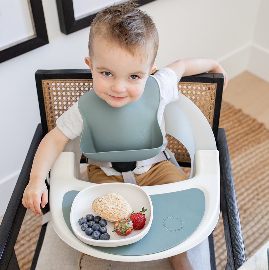 Terra 2 - in - 1 High Chair & Booster with Silicone Placemat - Paperclip