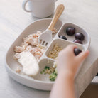 Silicone Sectioned Suction Plate - Paperclip