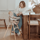 Terra 2 - in - 1 High Chair & Booster - Paperclip